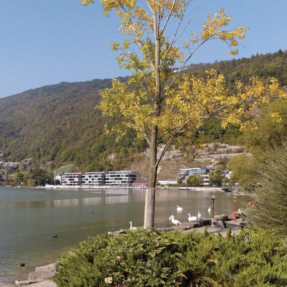 CS 86-HI (c) Cancelled Systems and ConceptWall 50 Façades - Beaurivage Apartments located in Biel, Switzerland